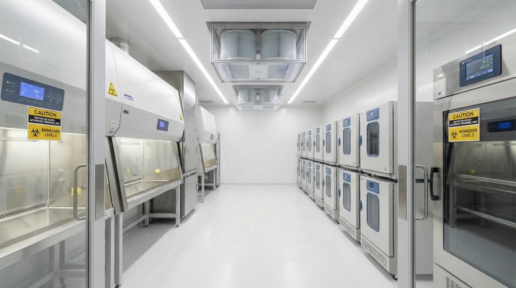 再生医療分野での活用と法規制のハードル