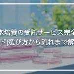 細胞培養の受託サービス完全ガイド｜選び方から流れまで解説
