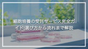 細胞培養の受託サービス完全ガイド｜選び方から流れまで解説